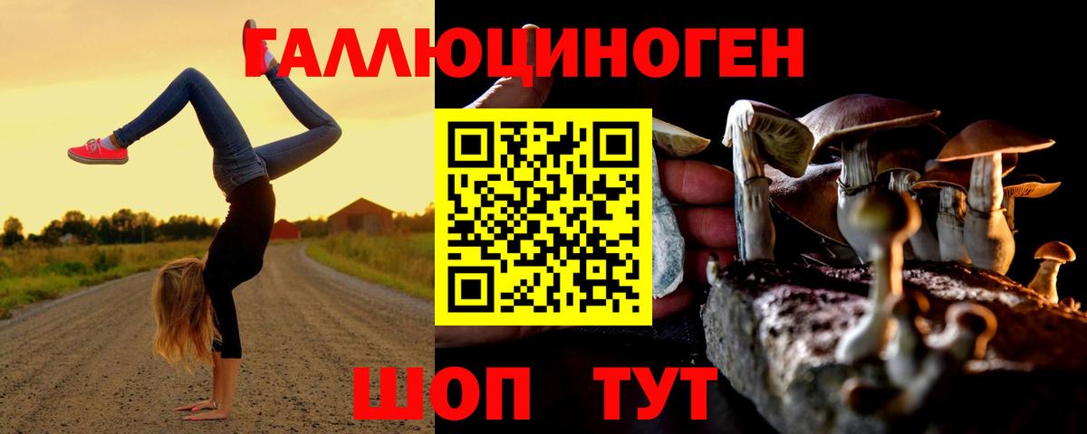 Подольск  наркота  Вход с VPN  Галлюциногенные грибы Cubensis  Галлюциногенные грибы мухоморы 